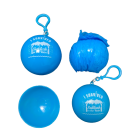 I Survived Sukkah in the Rain