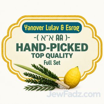 Hand-Picked Top Quality Full Set - Yanover Lulav & Esrog (א־א AA)