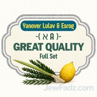 Great Quality Full Set - Yanover Lulav & Esrog ( א׳ A )
