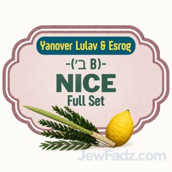 Nice Full Set - Yanover Lulav & Esrog ( ב׳ B )