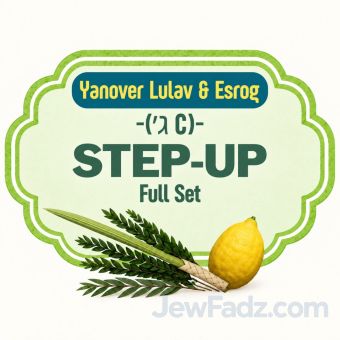 Step-Up Full Set - Yanover Lulav & Esrog ( ג׳ C)