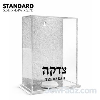 Standard - Lucite Silver Acrylic Charity Box (5.5H x 4.4W x 2.7L)