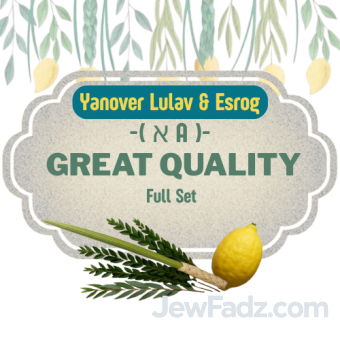 Great Quality Full Set - Yanover Lulav & Esrog ( א׳ A )