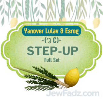 Yanover Lulav & Esrog - Step-Up Full Set ( ג׳ C)
