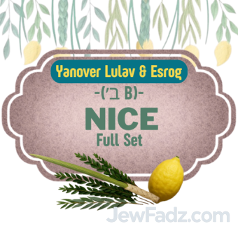 Yanover Lulav & Esrog - Nice Full Set ( ב׳ B )