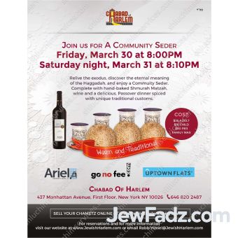 Pesach Seder Postcard Design 5