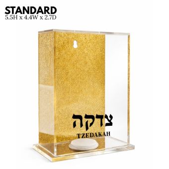 Lucite Wall-Hanging or Free Standing Gold Acrylic Charity Box 5.5H x 4.4W x 2.7L