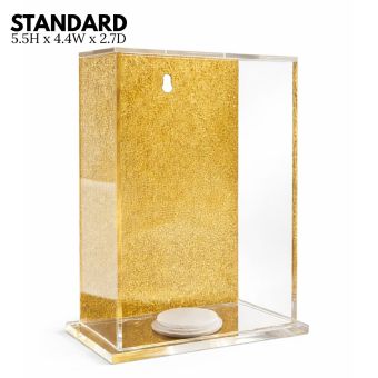 Gold Acrylic Tzedakah Pushka Box without logo