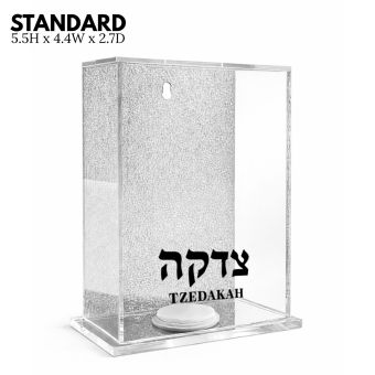 Lucite Wall-Hanging or Free Standing Silver Acrylic Charity Box 5.5H x 4.4W x 2.7L