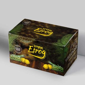 Esrog Box - With Brachos & Instructions
