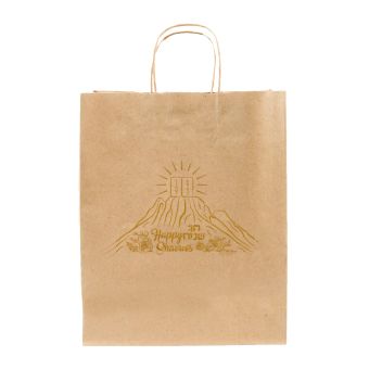 Shavuos Bag, Gold Foil Printing 10wx4.25Dx12.25H