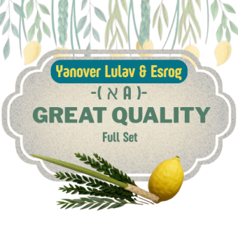 Yanover Lulav & Esrog - Great Quality Full Set ( א׳ A )