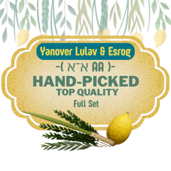 Yanover Lulav & Esrog - Hand-Picked Top Quality Full Set (  א־א AA  )