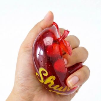 PREORDER! Shana Tova Needoh-Like Apple Squishy