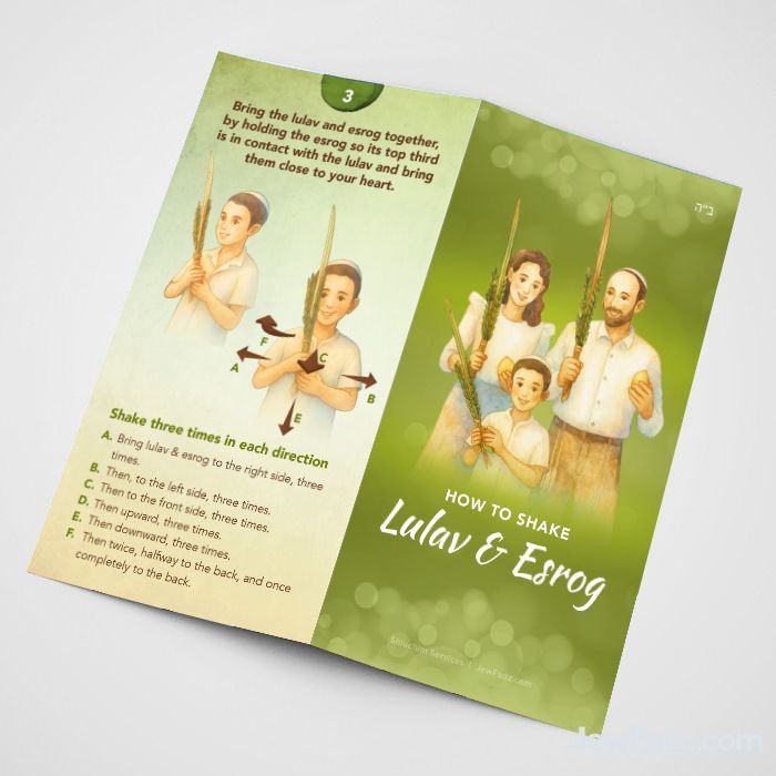 Step-by-Step Sukkos Blessing & Shaking Instruction Brochure