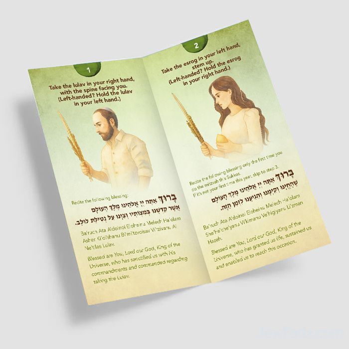 Step-by-Step Sukkos Blessing & Shaking Instruction Brochure