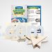 Create / Color your own Wooden Magen Dovid Dreidel 