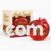 Shana Tova Needoh-Like Apple Squishy 
