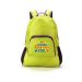 Chabad Hebrew School - Green Foldable Backpack