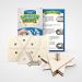 Create / Color your own Wooden Magen Dovid Dreidel 