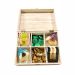 Filled Purim Tea Box - Elegant Option 2 - Pre-order