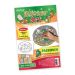 Pesach Seder Plate Glitter Art