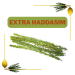 Extra Haddasim