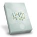 EMPTY Green Purim Shaloch Manos Box 9.1 x 8 x 2.4