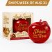 PREORDER! Shana Tova Needoh-Like Apple Squishy – SHIPS IN WEEK OF AUG 31 (from California)