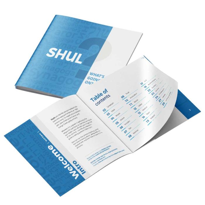 NEW & IMPROVED: Shul Guide – What Is Going On in Shul?